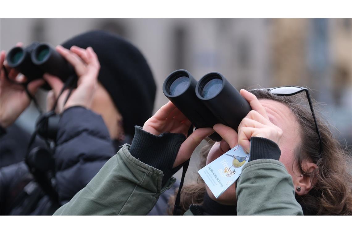 Bei der "Stunde der Wintervögel" können Bürgerinnen und Bürger wieder eine Stunde lang Vögel beobachten.