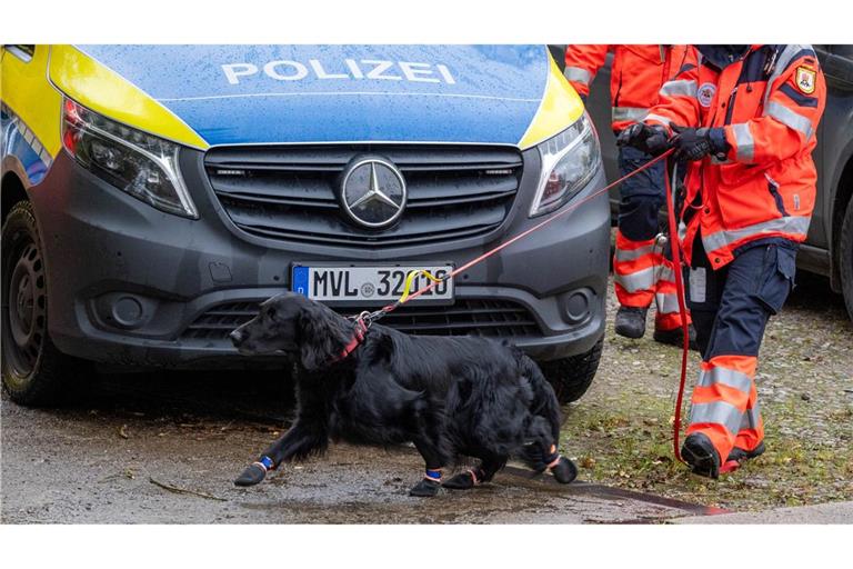 Bei der Suche nach dem Jungen kamen auch Spürhunde zum Einsatz.
