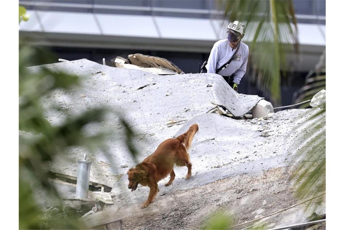 Bei der Suche nach möglicherweise noch lebenden Verschütteten setzen die Rettungskräfte auch Spürhunde ein. Foto: David Santiago/Miami Herald/AP/dpa