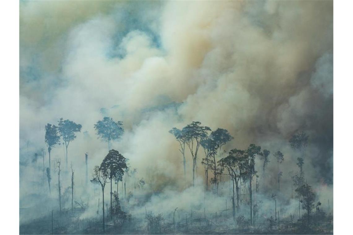 Soldaten bekämpfen Flammen im brasilianischen Regenwald