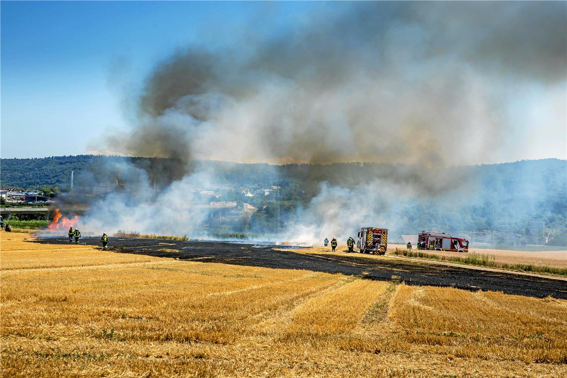 Bei einem massiven Flächenbrand bei Leutenbach schlagen die Flammen meterhoch aus einem Getreidefeld. Foto: 7aktuell.de/Kevin Lermer