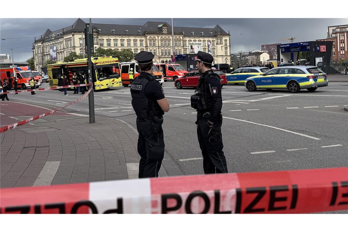 Richter ordnet Einweisung in psychiatrische Klinik an Bei einem Messerangriff im Hamburger Hauptbahnhof sind am Freitag viele Menschen verletzt worden.
