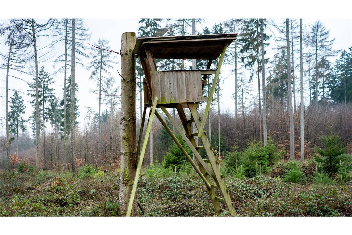 Bei einem mutmaßlichen Jagdunfall kam ein 23-Jähriger ums Leben. (Symbolbild)