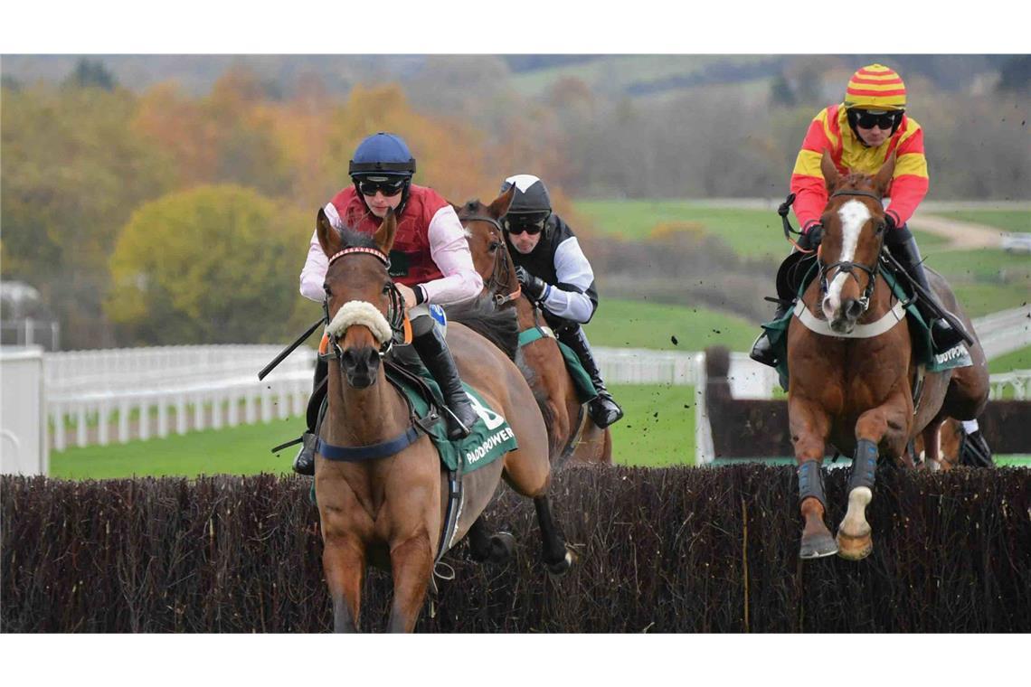 Pferd stirbt – Jockey sitzt noch im Sattel und gibt Interview Bei einem Pferderennen in England sind drei Tiere ums Leben gekommen.