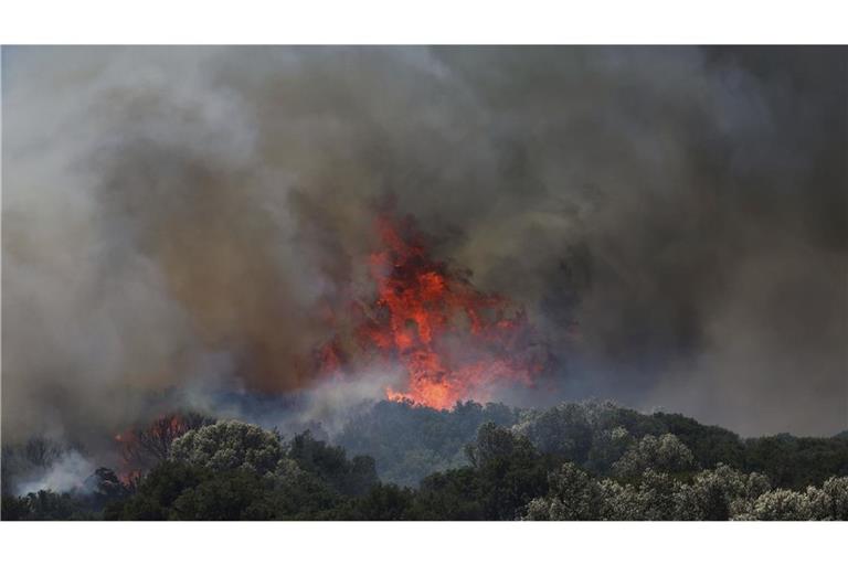 Bei einem Waldbrand in der Türkei sind mehrere Menschen ums Leben gekommen. (Archivbild)