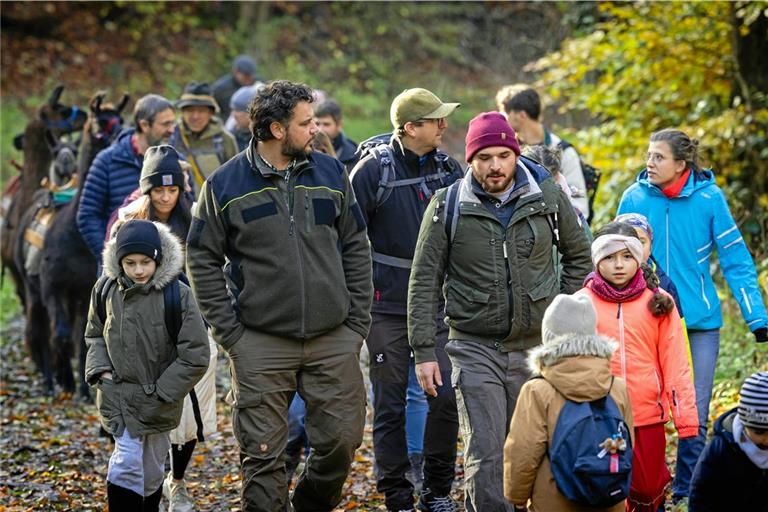 Bei einer Alpakawanderung im Seitenbachtal kommt Bürgermeisterkandidat Markus Laiblin (vorne, Zweiter von links) mit Bürgerinnen und Bürgern in allen Altersklassen ins Gespräch. Foto: Alexander Becher