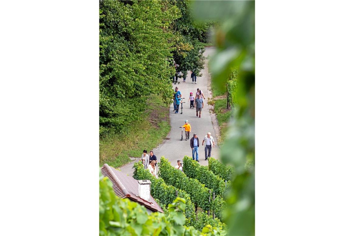 Bei einer Rundwanderung konnten alle Stationen der Weingärtnergenossenschaft Aspach und der Weingüter bequem erreicht werden, auch wenn es zunächst ein wenig bergauf ging. Fotos: A. Becher