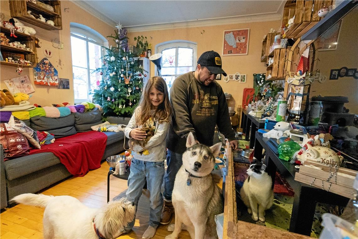 Geschenke für Tiere: Leckerlis unterm Weihnachtsbaum