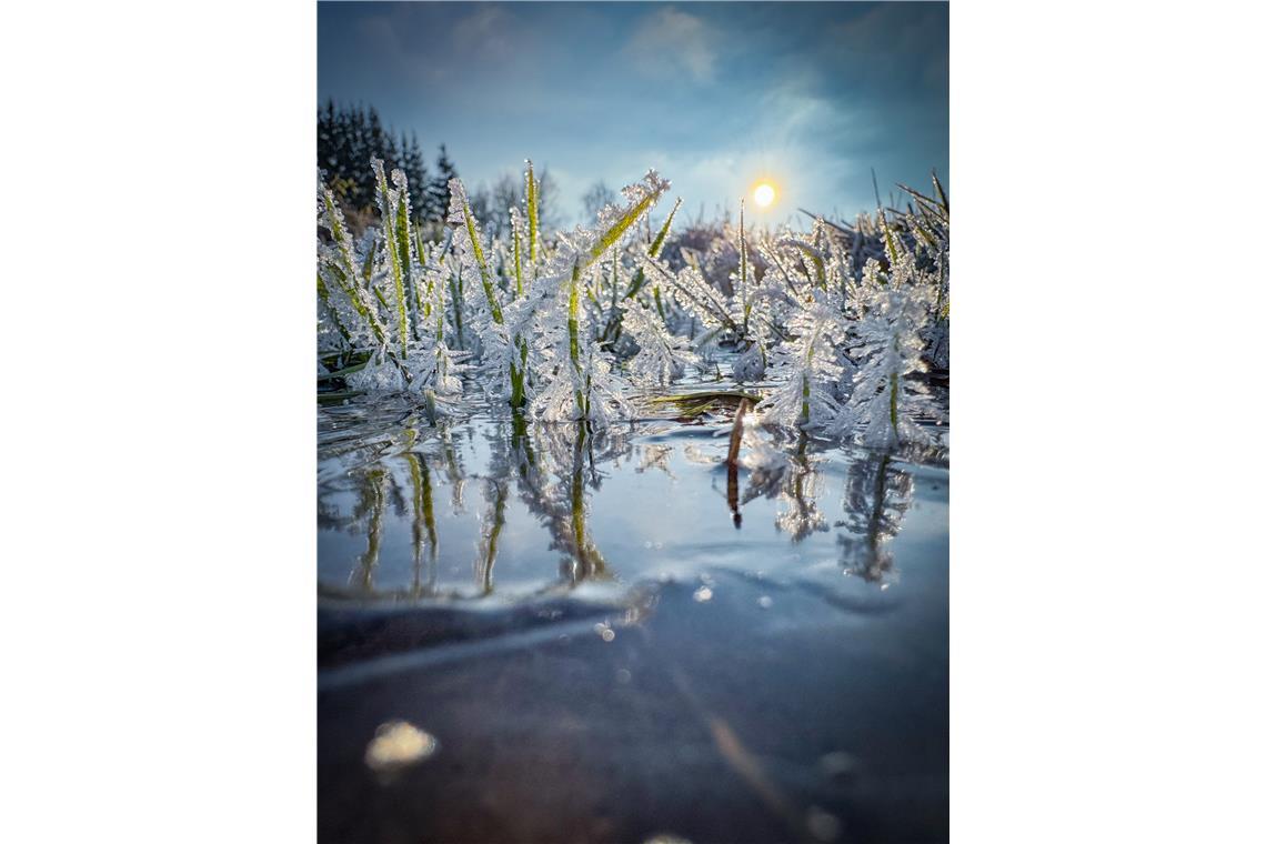 Bei minus 11 Grad ist Yannick Garbe dem Raureis an einer zugefrorenen Pfütze in ...