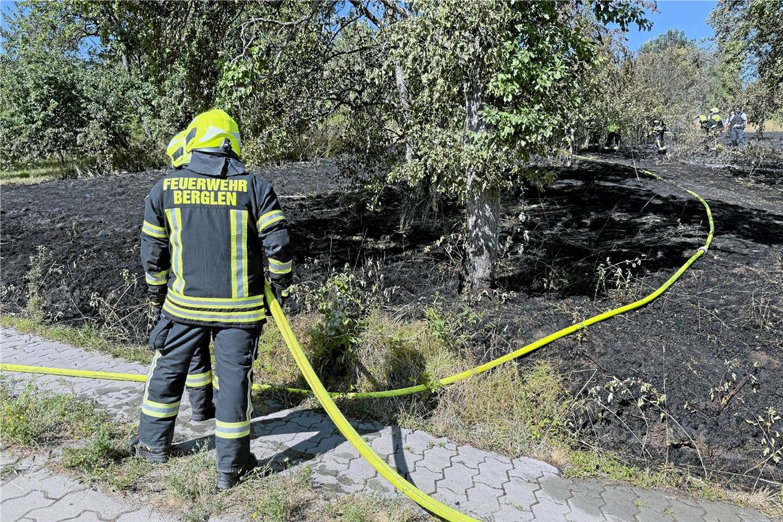Two fields near Winnenden and Berglen burn down