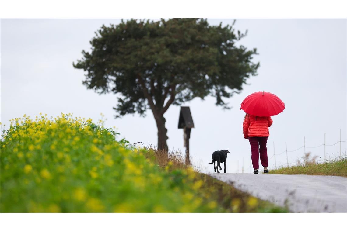 Bei Regen oder Sonnenschein: Tägliche Spaziergänge helfen dem Körper, sich besser an Temperaturwechsel zu gewöhnen. (zu dpa: «So kühl und nass wird der letzte Tag der Woche im Südwesten»)
