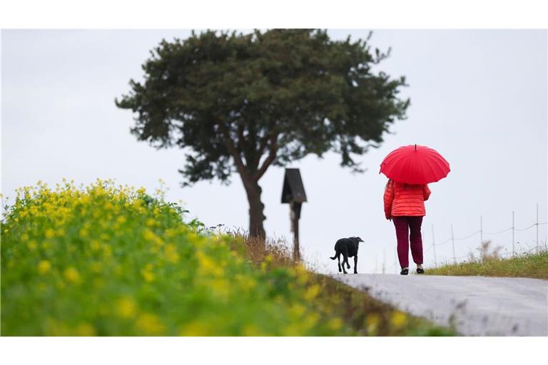 Bei Regen oder Sonnenschein: Tägliche Spaziergänge helfen dem Körper, sich besser an Temperaturwechsel zu gewöhnen. (zu dpa: «So kühl und nass wird der letzte Tag der Woche im Südwesten»)