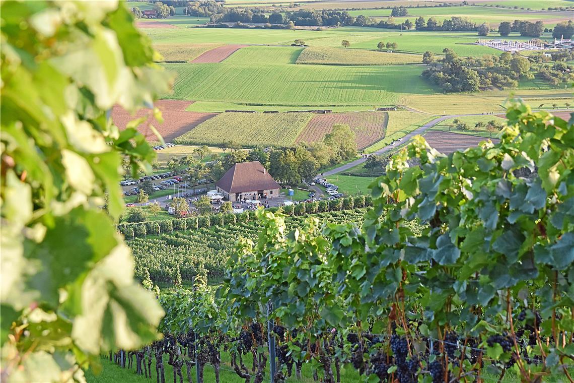 Wetterbilanz: Viel zu warmer und trockener September Bei strahlendem Sonnenschein sind im zurückliegenden Monat viele Ausflüge in die Natur möglich. Foto: Tobias Sellmaier
