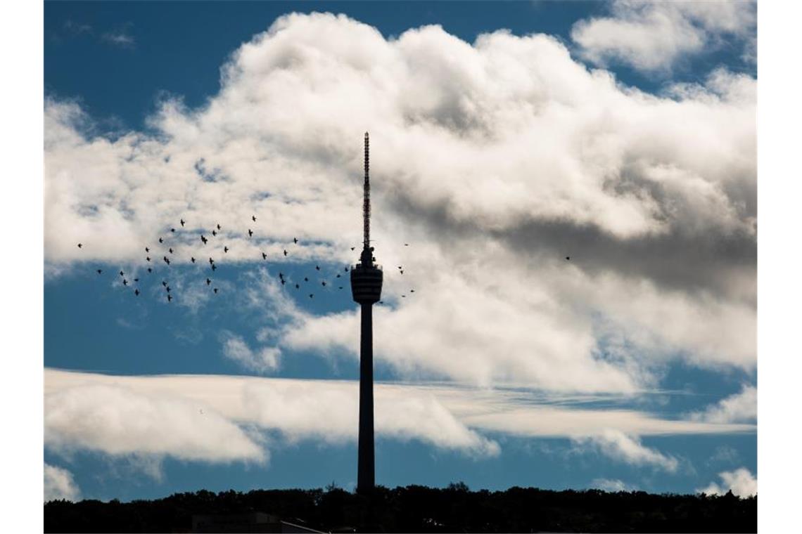 Bei stürmischem Wetter ziehen Wolken und ein Schwarm Vögel am Stuttgarter Fernsehturm vorbei. Foto: Christoph Schmidt/Archivbild