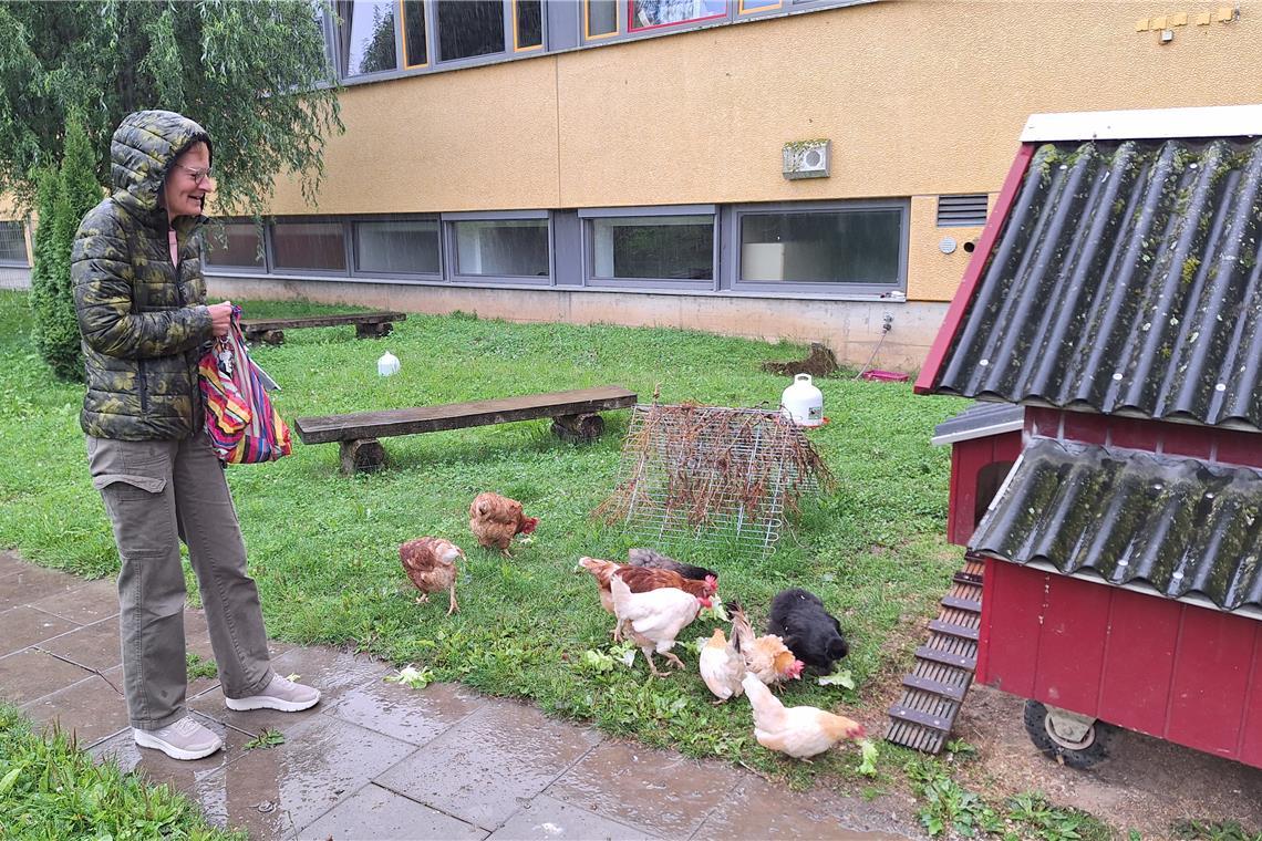 Wer kümmert sich um die Schulhühner? Bei Wind und Wetter müssen die Plaisirhühner gefüttert und versorgt werden. Wenn niemand von den Eltern oder Lehrkräften den Dienst morgens oder abends übernehmen kann, springen Schulleiterin Christine Nagel oder ihre Töchter ein. Foto: privat