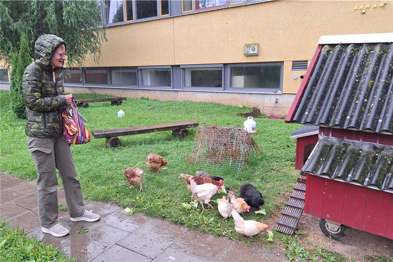 Bei Wind und Wetter müssen die Plaisirhühner gefüttert und versorgt werden. Wenn niemand von den Eltern oder Lehrkräften den Dienst morgens oder abends übernehmen kann, springen Schulleiterin Christine Nagel oder ihre Töchter ein. Foto: privat