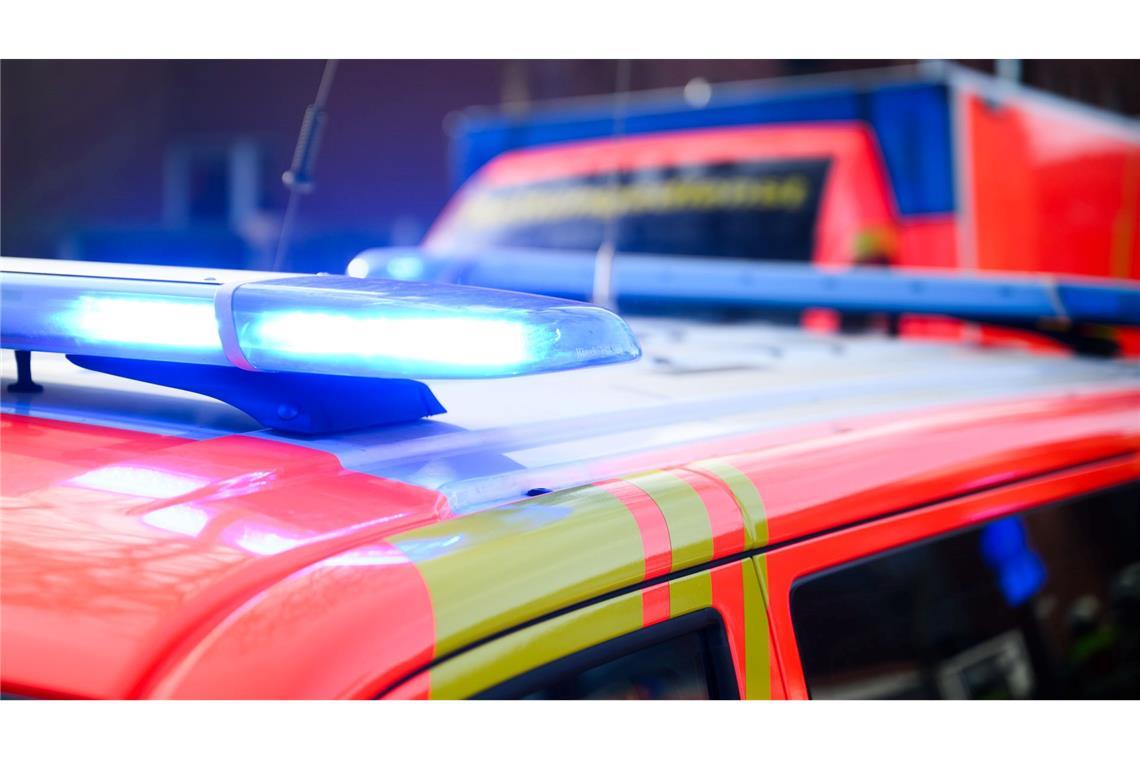 Beide Jungen wurden vom Rettungsdienst behandelt und ins Krankenhaus gebracht. (Symbolbild)