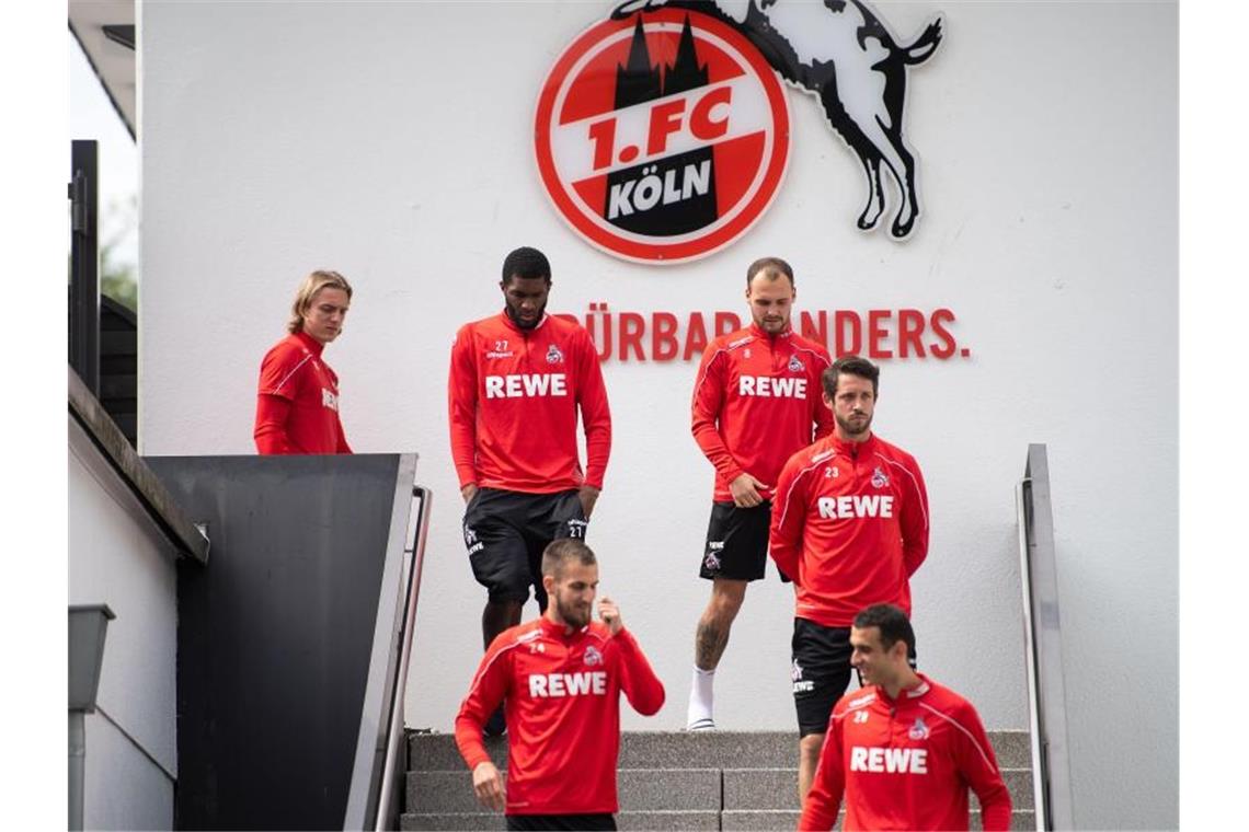 Beim 1. FC Köln wurden nach vier positiven Befunden keine weiteren Infektionen mit dem Coronavirus festgestellt. Foto: Marius Becker/dpa