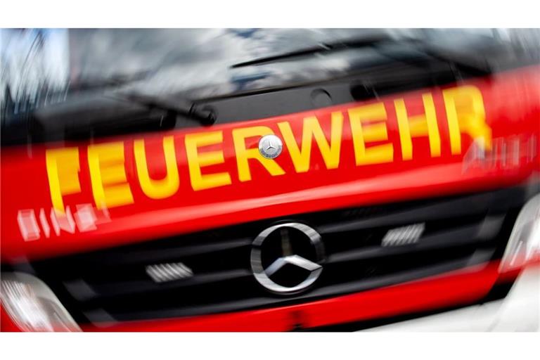 Beim Absturz eines Kleinstflugzeugs bei Gundelsheim kommt für die zwei Insassen jede Hilfe zu spät.