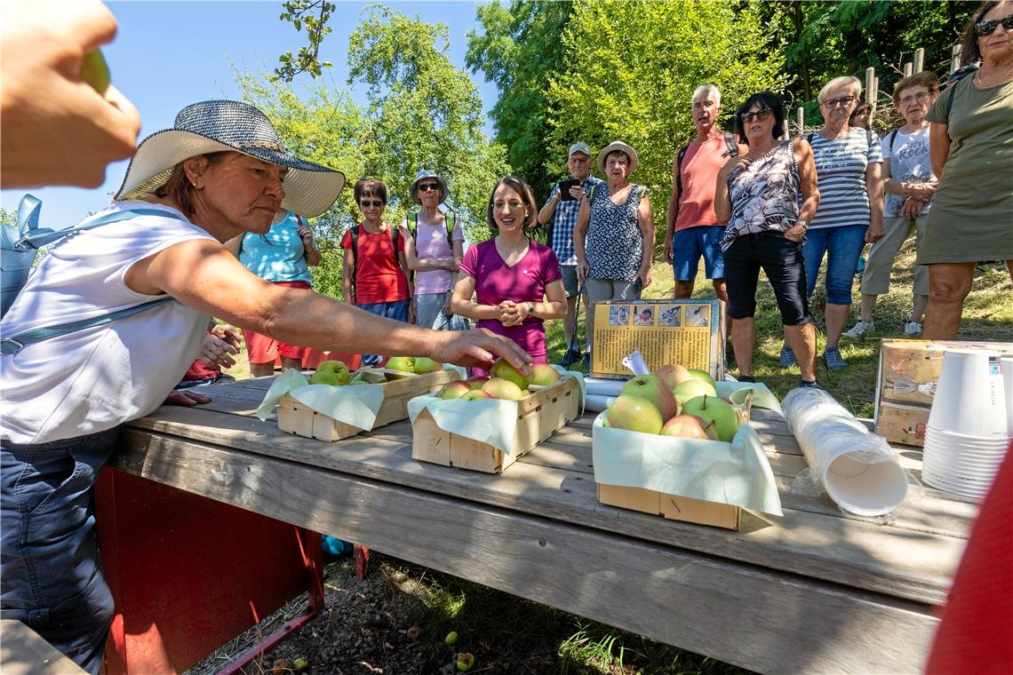BKZ-Wandertag in Allmersbach im Tal: Auf dem Millionensträßle durch den Wald Beim Apfelrätsel waren der Geschmackssinn und Obstverstand der Wanderer gefragt. Bürgermeisterin Patrizia Rall (Bildmitte) hatte gut lachen: Sie kannte ja die Lösung.