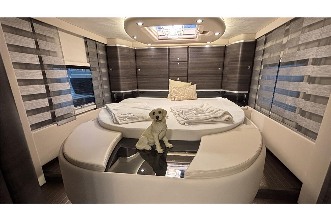 Beim Concorde-Liner überwacht ein Hund die Nachtruhe.