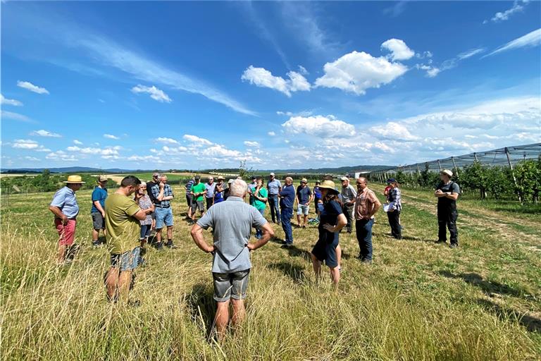 Beim Feldtag hat Familie Häußermann gemeinsam mit dem Landwirtschaftsamt Maßnahmen für mehr Artenvielfalt vorgestellt. Foto: Landratsamt Rems-Murr-Kreis