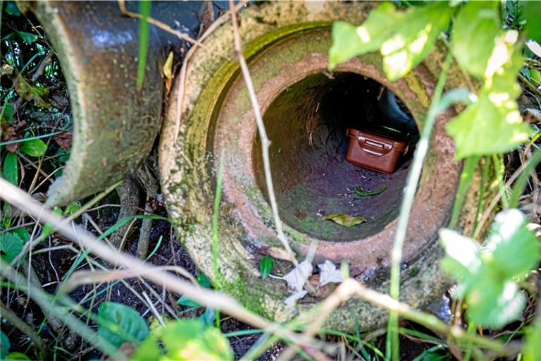 Beim Geocaching machen sich Schatzsucher ausgestattet mit den Koordinaten auf den Weg, um die Verstecke der Dosen ausfindig zu machen. Fotos: A. Becher