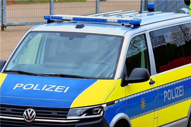 Beim Halt im Backnanger Bahnhof kontrollierte die Polizei die Streitbeteiligten. Symbolfoto: Tobias Sellmaier
