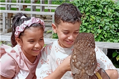 Beim „Inclu-Action-Team“ ging es auf einen Ausflug zur Falknerei in Lorch. Die Kinder hat die Begegnung mit den Greifvögeln tief beeindruckt. Foto: privat