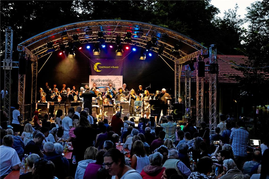 Beim Seenachtsfest des Musikvereins Reichenberg und der Freiwilligen Feuerwehr Oppenweiler war die Stimmung auch ohne Feuerwerk und Fackeln bestens. Foto: Jörg Fiedler