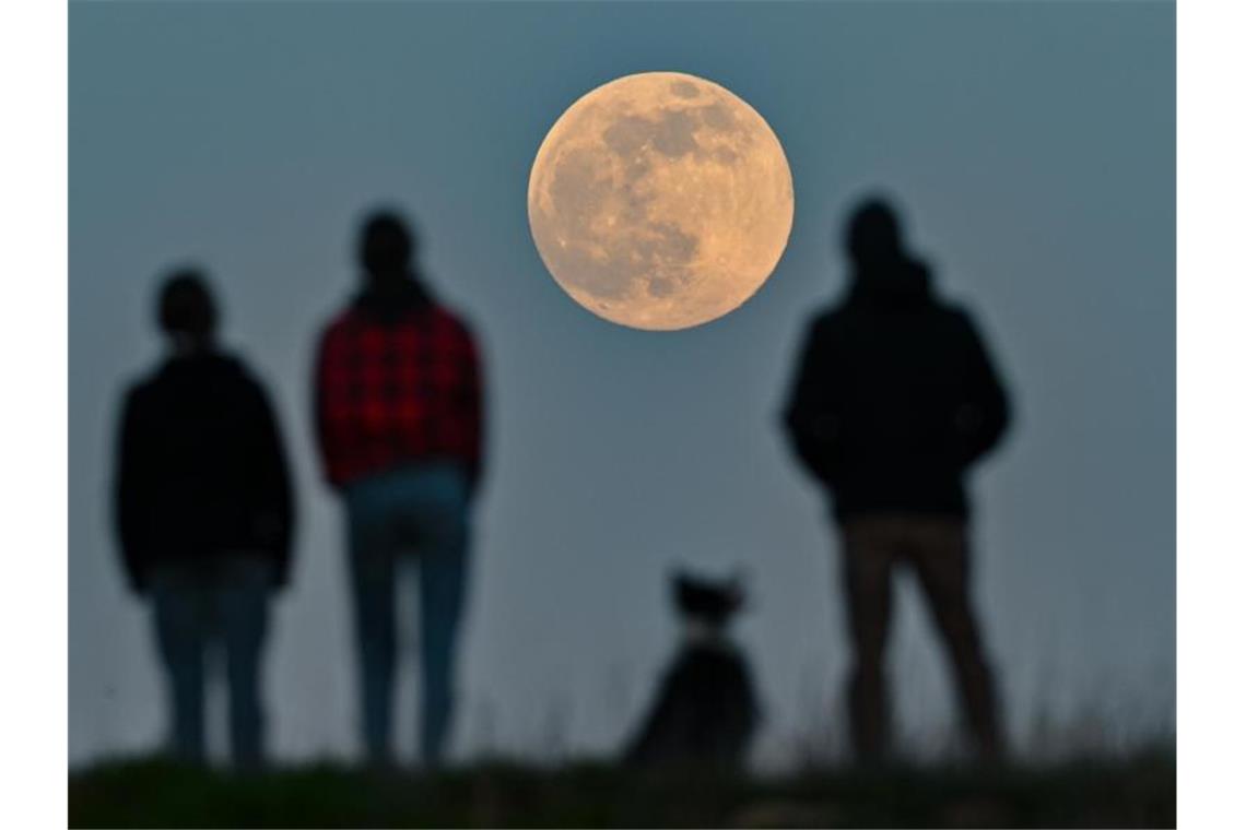 Beim sogenannten "Supermond" ist die Entfernung zwischen Mond und Erde geringer als sonst. Foto: Patrick Pleul/dpa-Zentralbild/dpa