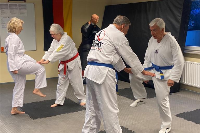 Beim Taekwondo sind die Seniorinnen und Senioren mit Eifer bei der Sache. Foto: privat