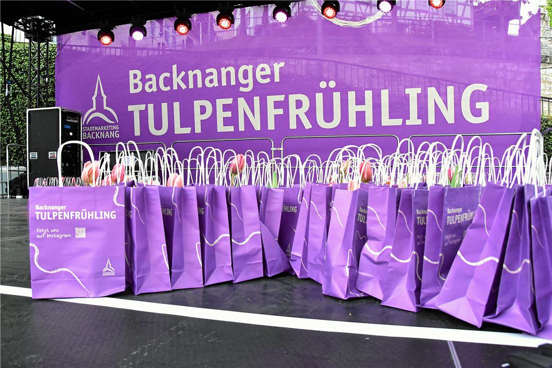 Beim Tulpenfrühling gibt es wieder Tulpen für alle. Tulpenfrühling in Backnang 2...