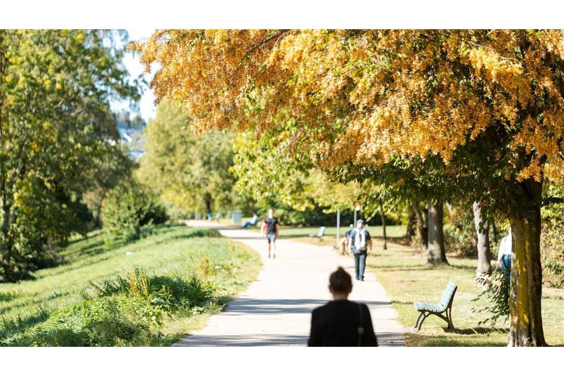 Bekommen wir im Oktober viel Sonnenschein?