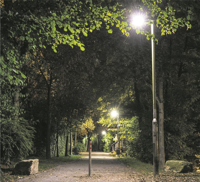 Beleuchtet, aber nicht hell genug: Auf dem Fußweg am Burgberg werden die Straßenlaternen ersetzt.Foto: A. Becher
