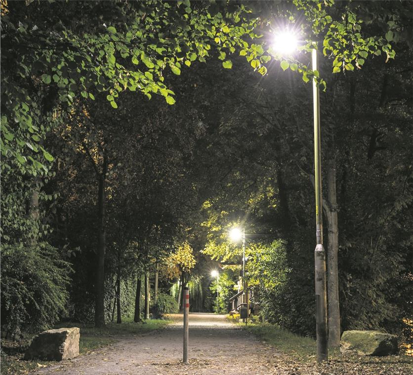 Mehr Licht am Murrufer Beleuchtet, aber nicht hell genug: Auf dem Fußweg am Burgberg werden die Straßenlaternen ersetzt.Foto: A. Becher