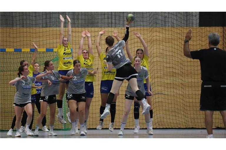 Bereits für den Saisonauftakt: Die Wildcats des SV Leonberg/Eltingen (in Gelb) im Testspiel gegen die HSG Strohgäu.