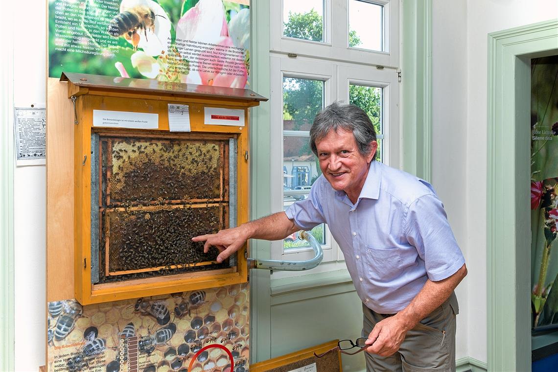 Bernhard Drixler in der Ausstellung im Naturparkzentrum Murrhardt. Dort ist er nur noch bis zum Jahresende anzutreffen. Foto: J. Fiedler