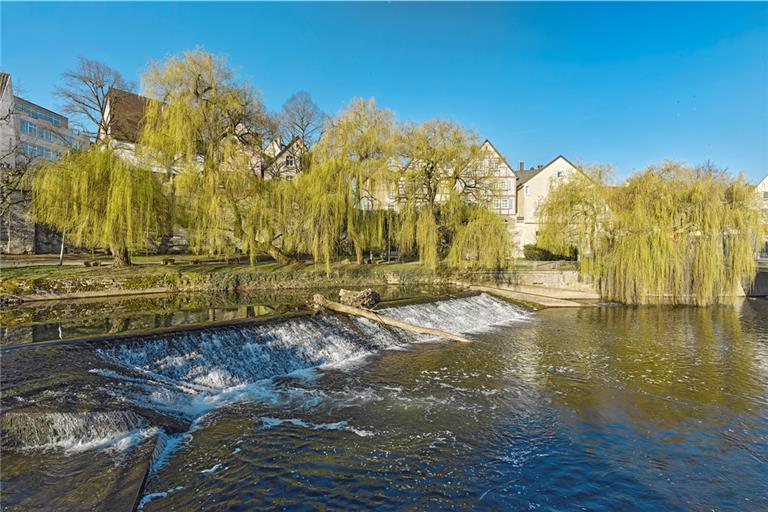 Bernhard J. Lattners neues Projekt beschäftigt sich mit der „Backnanger Landschaft“ allgemein, der Flusslandschaft sowie ausgewiesenen Naturdenkmalen. Die Arbeiten stehen für die Unverwechselbarkeit der Topografie Backnangs. Foto: Bernhard J. Lattner, Backnang