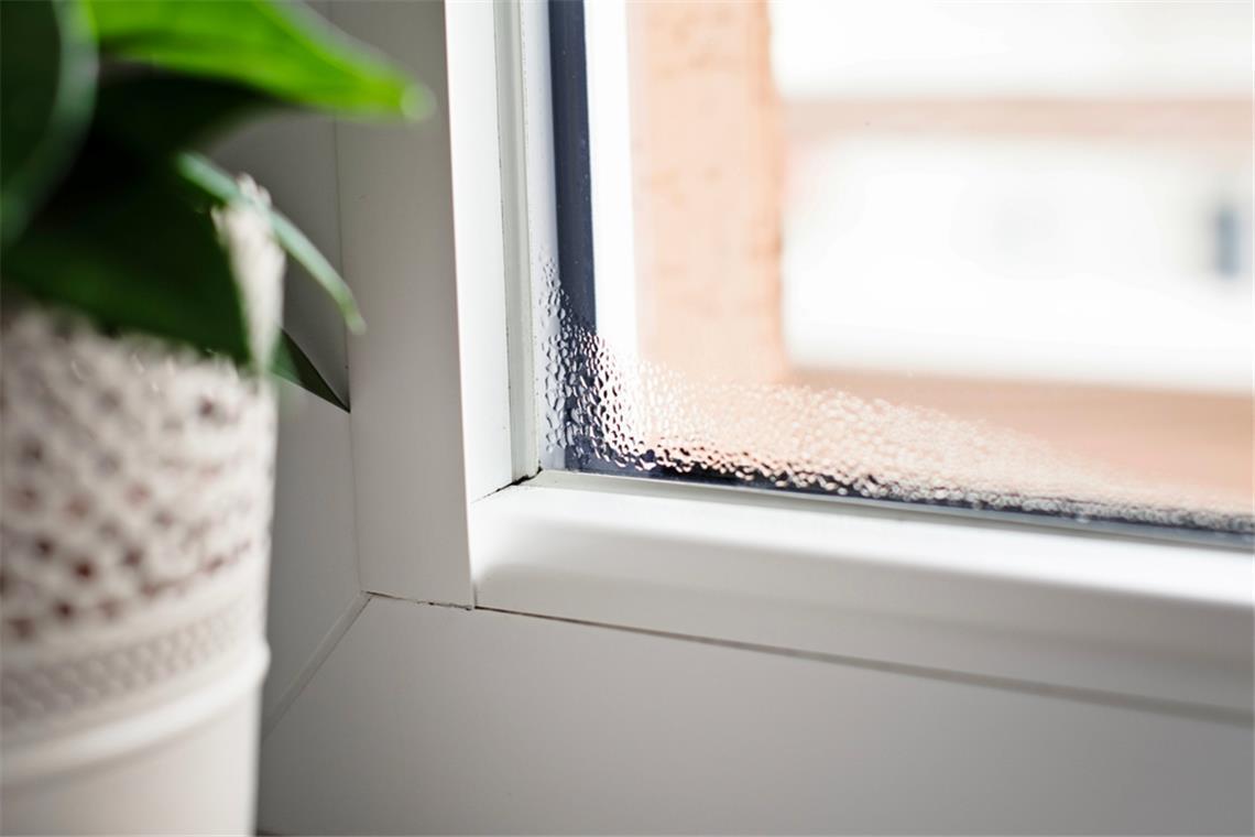 Beschlagene Fenster von innen sind besonders in den kalten Monaten ein häufiges Problem. Welche Ursachen dahinterstecken und wie sich Kondenswasser vermeiden lässt, erfahren Sie hier.