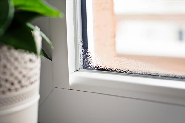 Beschlagene Fenster von innen sind besonders in den kalten Monaten ein häufiges Problem. Welche Ursachen dahinterstecken und wie sich Kondenswasser vermeiden lässt, erfahren Sie hier.