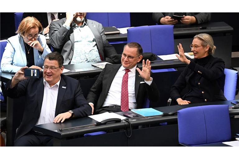 Besonders AfD-Abgeordnete sind in der Vergangenheit durch einen rauen Ton im Parlament aufgefallen. (Archivfoto)