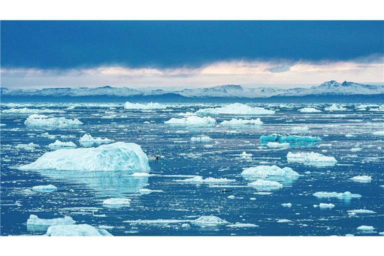 Besonders dramatisch wäre die Situation, sollte dieses Strömungssystem im Atlantischen Ozean, zu dem auch der Golfstrom gehört, komplett zusammenbrechen.