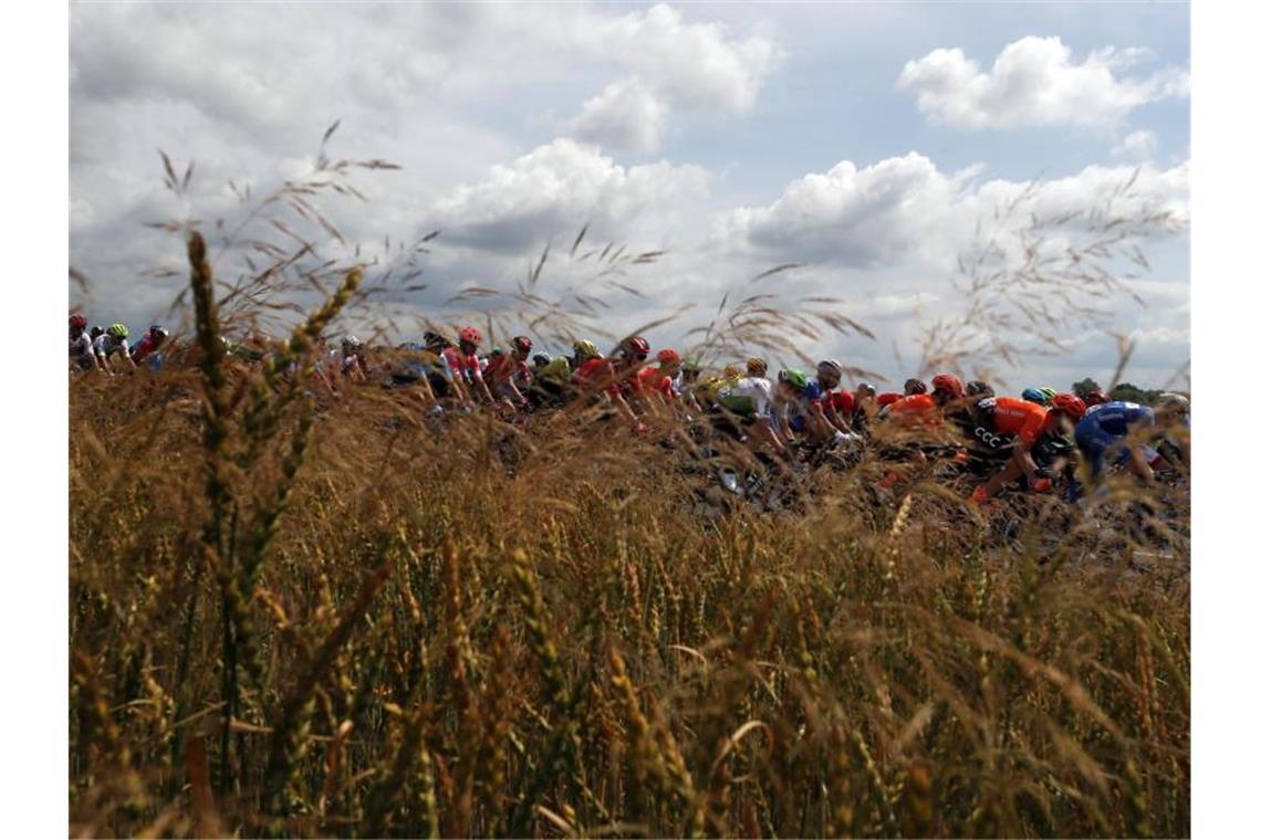 Bevor die Anstiege steiler werden, dürfen die Sprinter bei der 4. Etappe noch einmal auf ihre Chance hoffen. Foto: Thibault Camus/AP