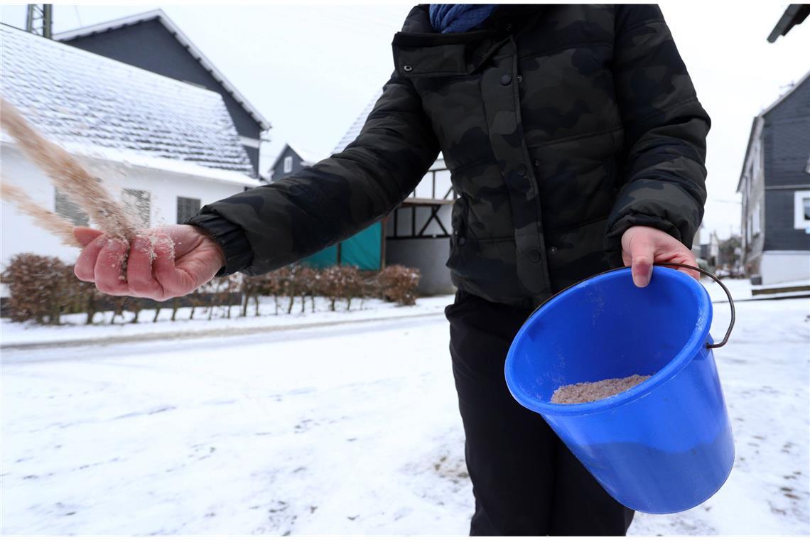 Bevor man zu Salz greift, sollte man sich informieren, ob das in der Kommune erlaubt ist.