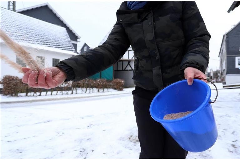 Bevor man zu Salz greift, sollte man sich informieren, ob das in der Kommune erlaubt ist.