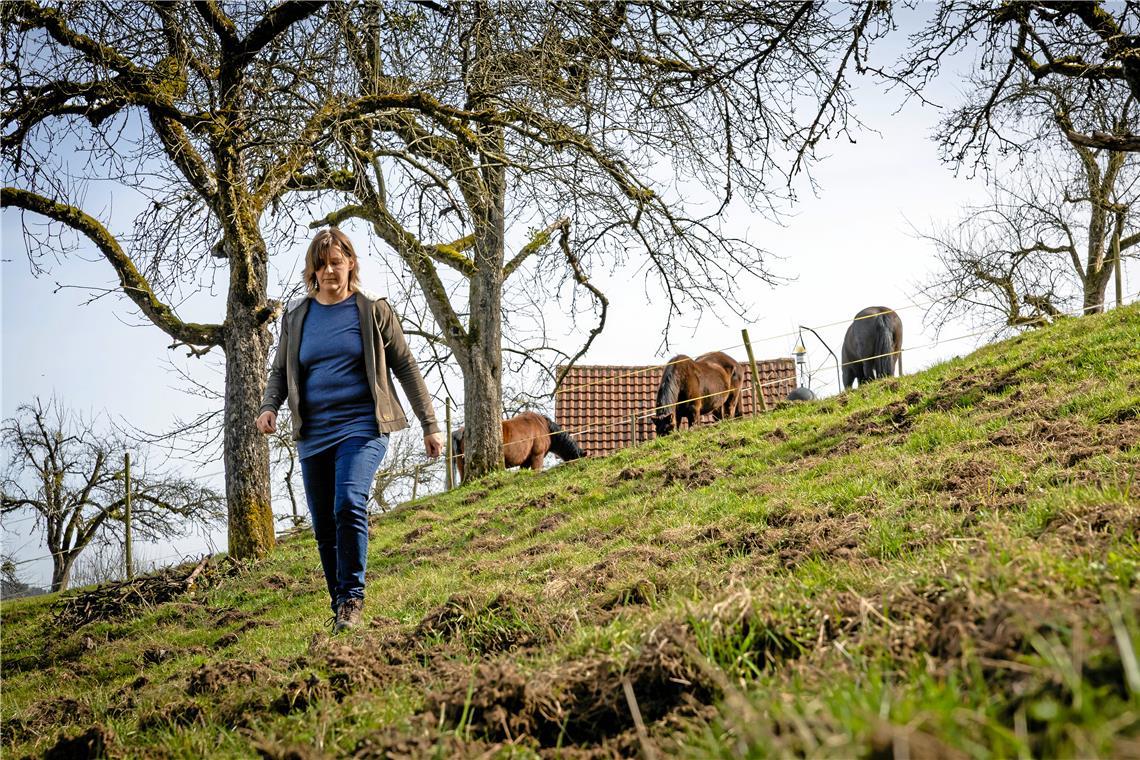 Bianca Matenas Koppel in Oppenweiler ist von Wildschweinen verwüstet worden. Foto: Alexander Becher