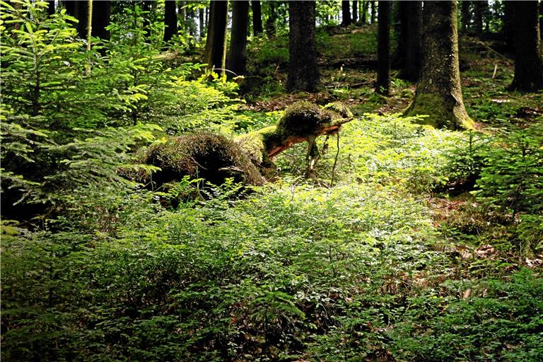 Veranstaltungsvielfalt und Landschaftsgenuss