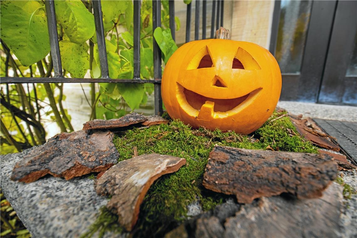 Der Pfundskerl für die Herbstküche Der Pfundskerl für die Herbstküche