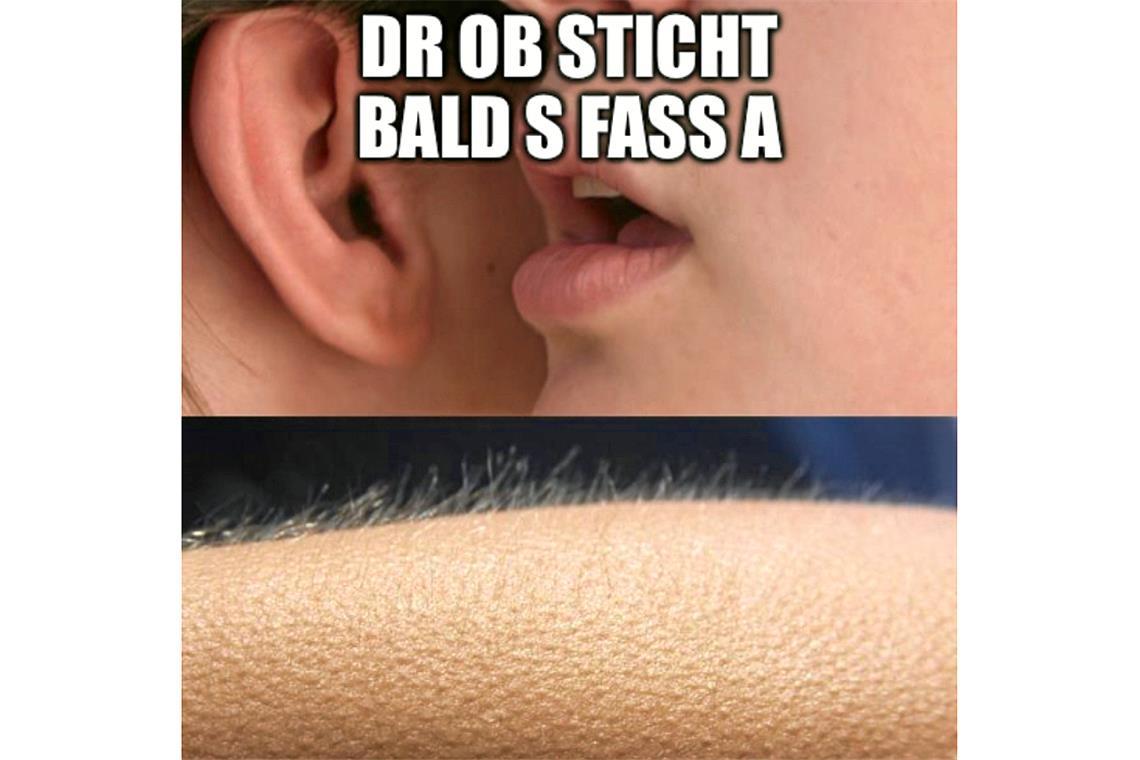 Der Live-Blog zum 54. Backnanger Straßenfest